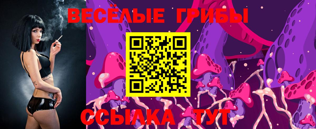 Качканар  Галлюциногенные грибы ЛСД  где купить наркоту  Вход с VPN  Галлюциногенные грибы Magic Shrooms 